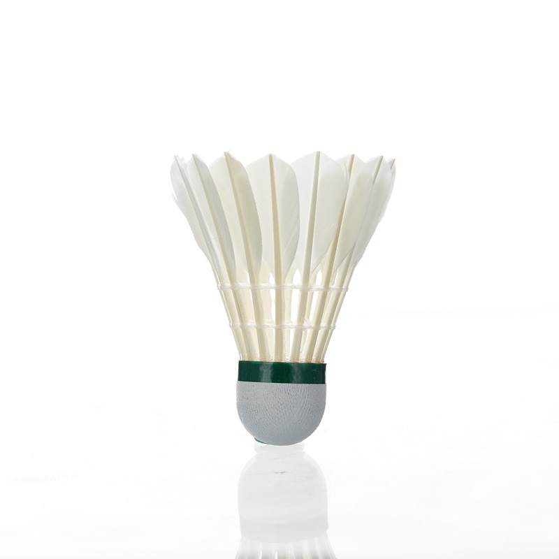 Kawasaki Veren Shuttle 8e Prof - Badminton Raket recensie en prijs
