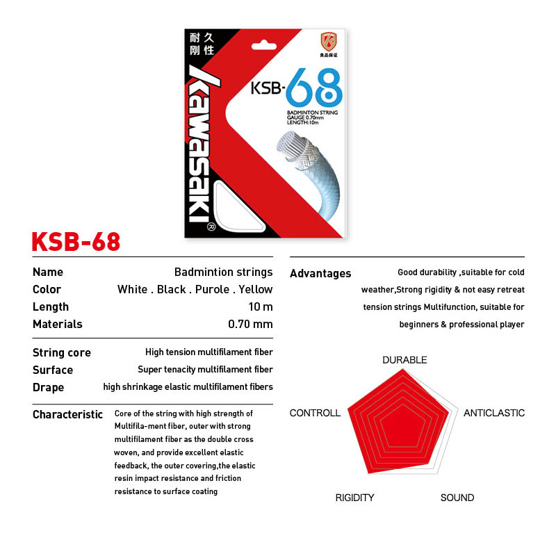 Kawasaki Professionele Badmint - Badminton Raket recensie en prijs