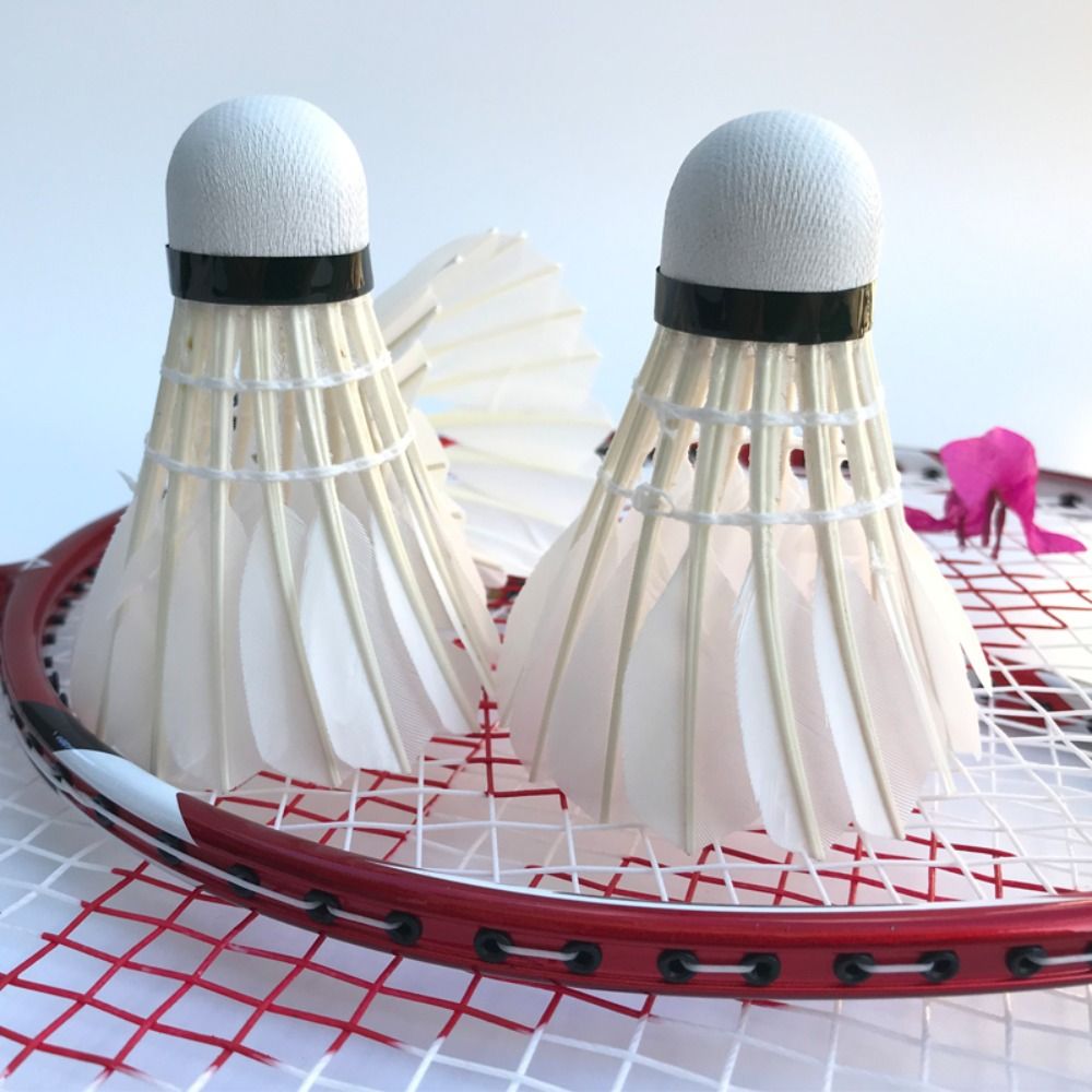 3/6/12 Stuks Professionele Bad - Badminton Nylon Shuttlecock recensie en prijs